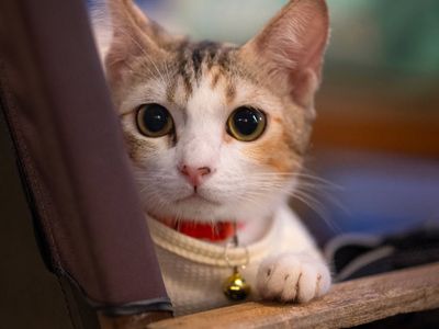 A water bottle and a towel on a bench